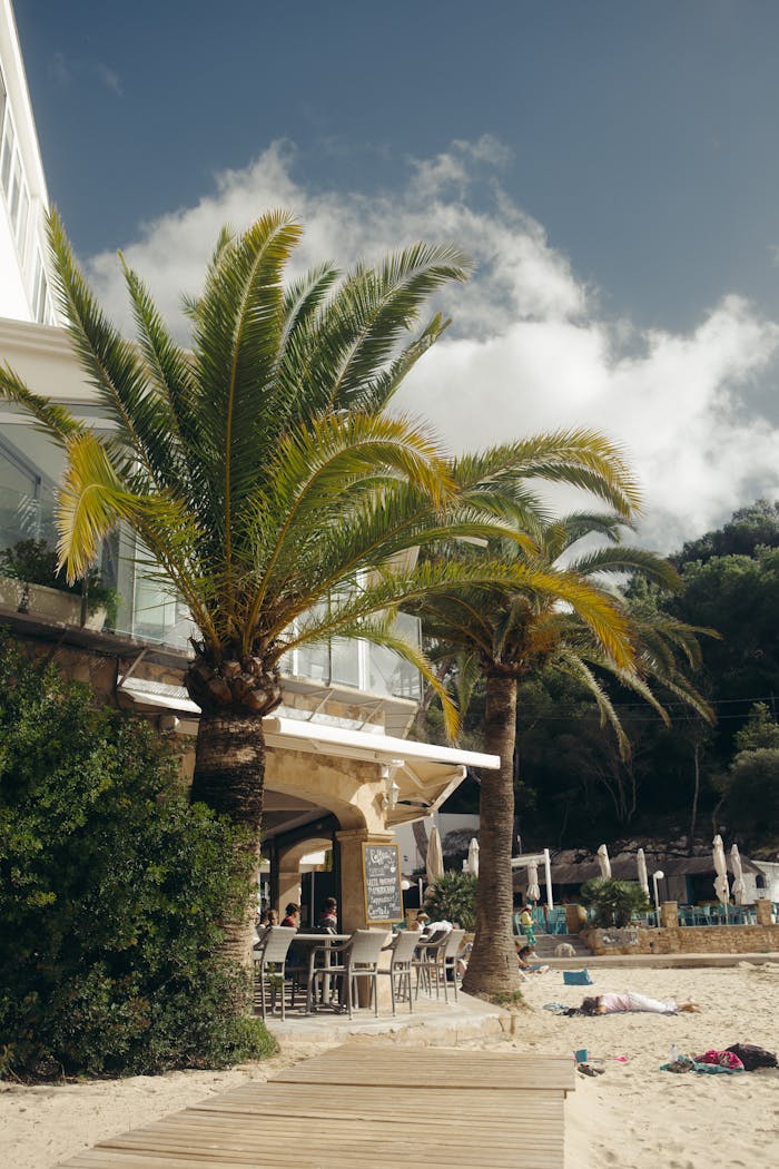 services-02 Relax at a luxurious beachfront resort in SantanyĆ, Spain, surrounded by palm trees and ocean views.