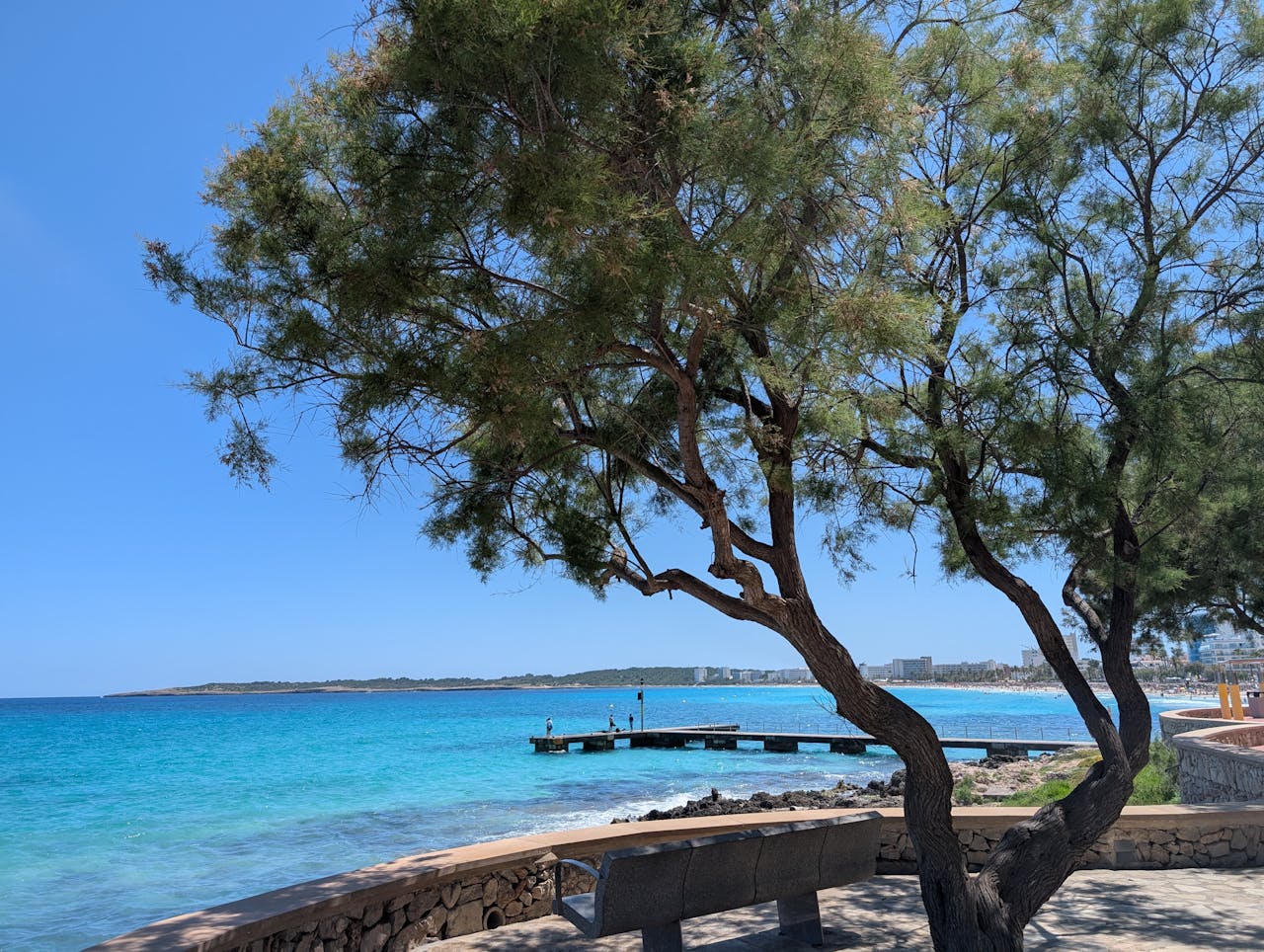 services-04 Serene beach view featuring a tree, a stone bench, and a distant pier over turquoise waters.