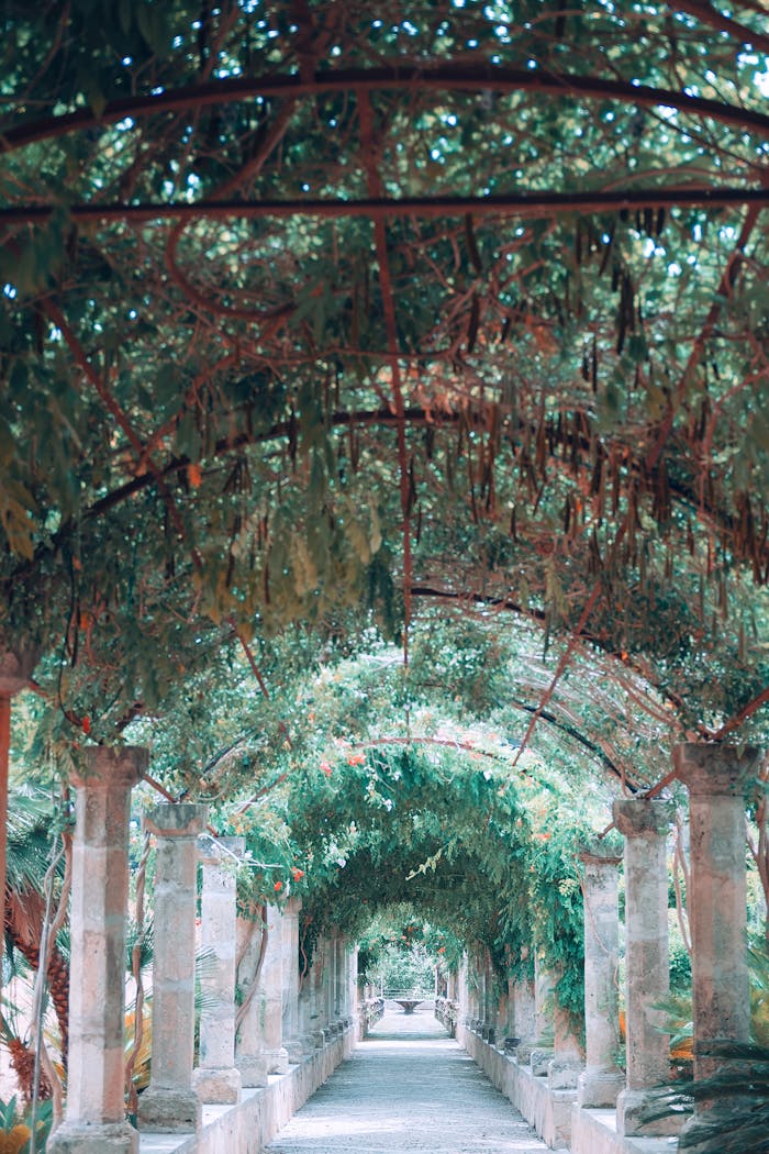 services-03 Empty columned walkway surrounded by green lush plants and vines in Jardines de Alfabia garden located in Mallorca
